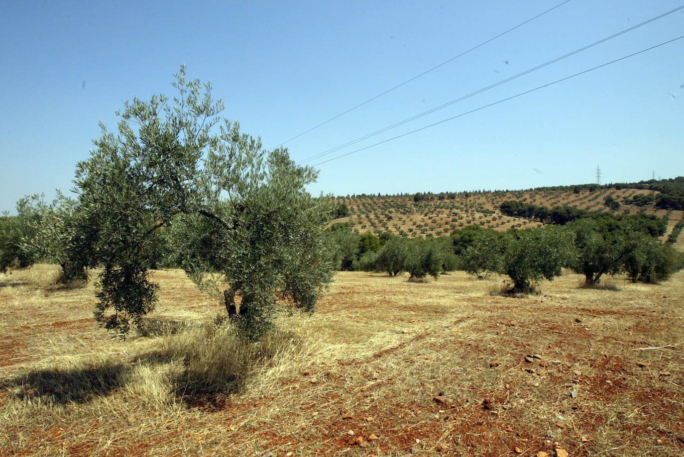 Dehesa del Generalife