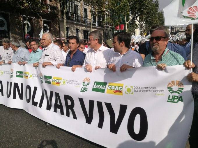 Así se está viviendo la manifestación por los precios del aceite