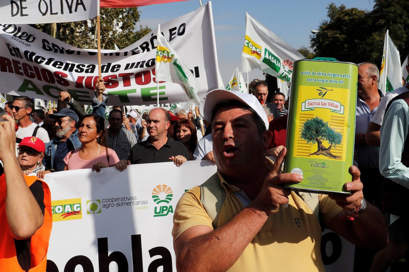 Miles de olivareros reclaman medidas para paliar la crisis