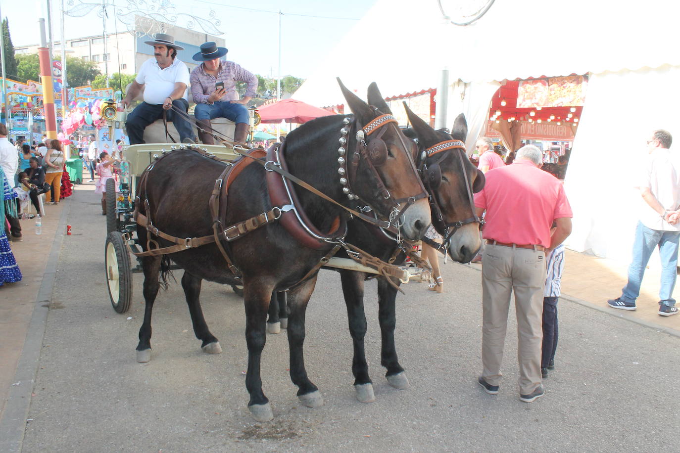 Caseteros se mostraban ayer «muy satisfechos» con cómo han transcurrido las dos primeras fechas de San Lucas 