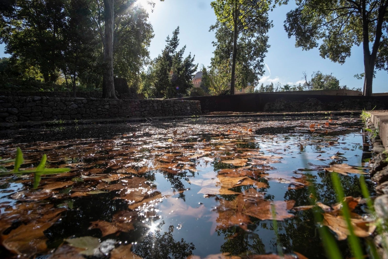 Los granadinos van ganando espacios para su conocimiento de la ciudad y de la Alhambra