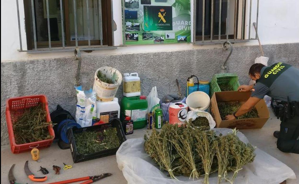 Marihuana en el río Genil: Descubren una plantación regada y oculta en un túnel