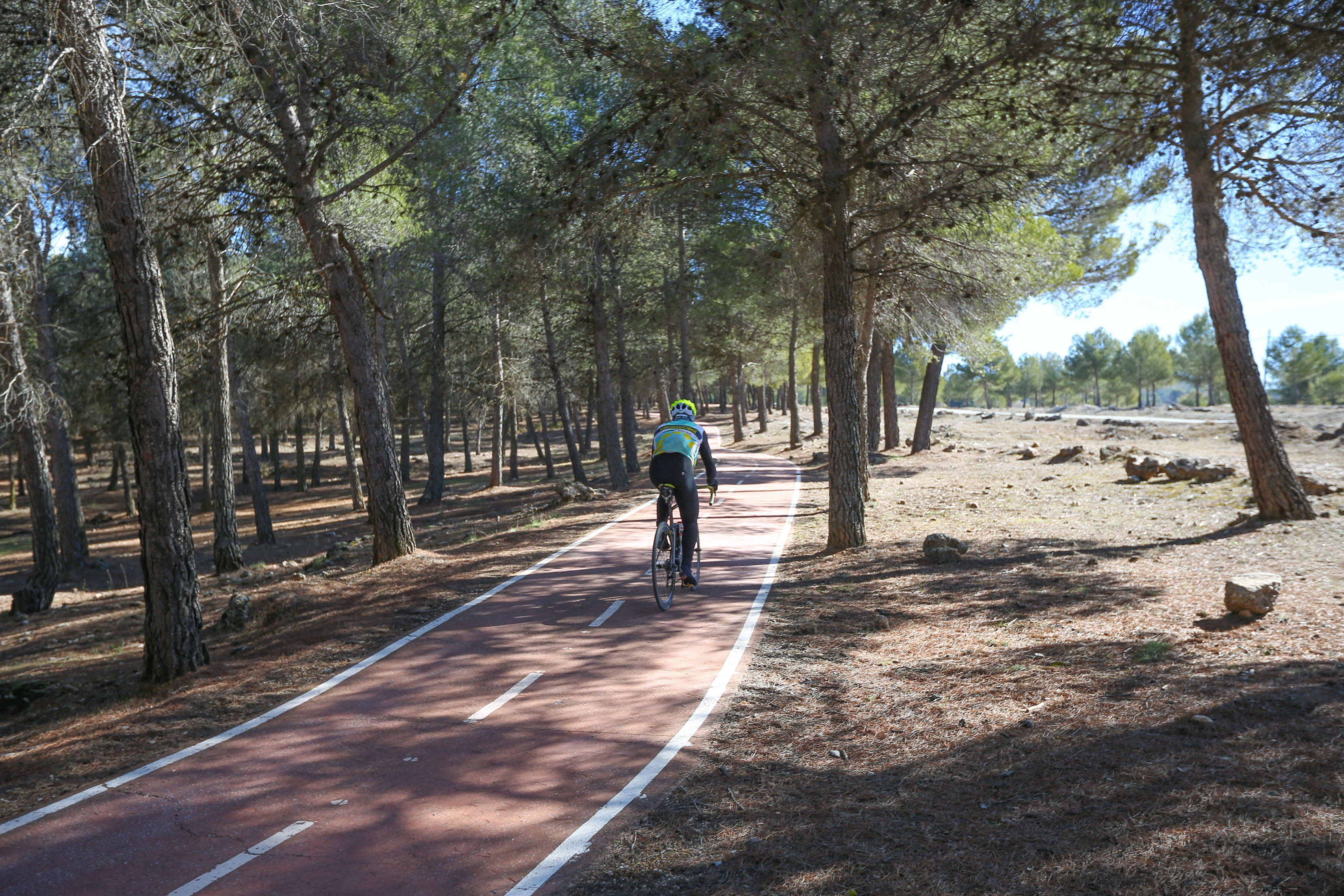 Cumbres Verdes