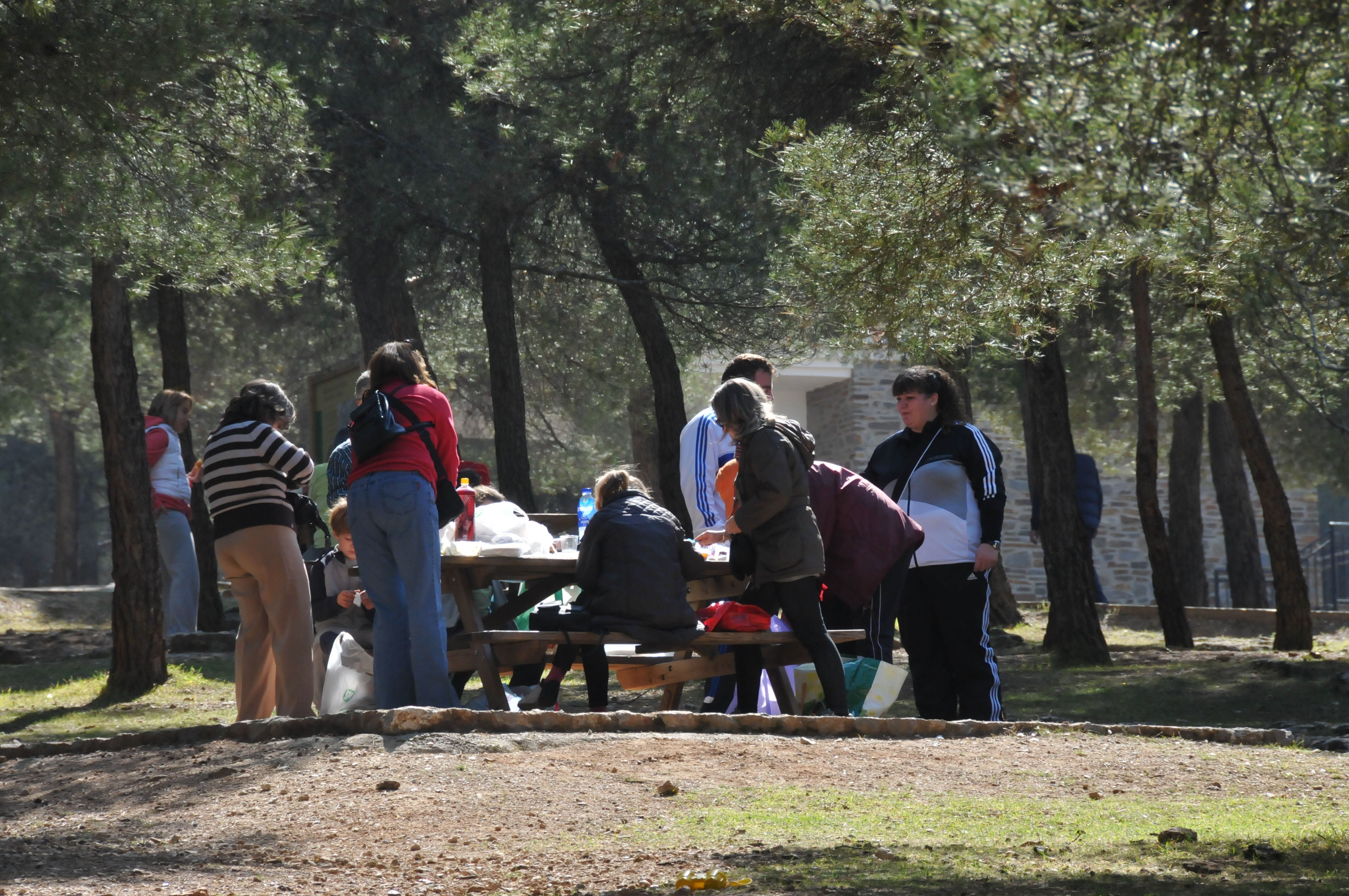 Área Recreativa de La Zubia