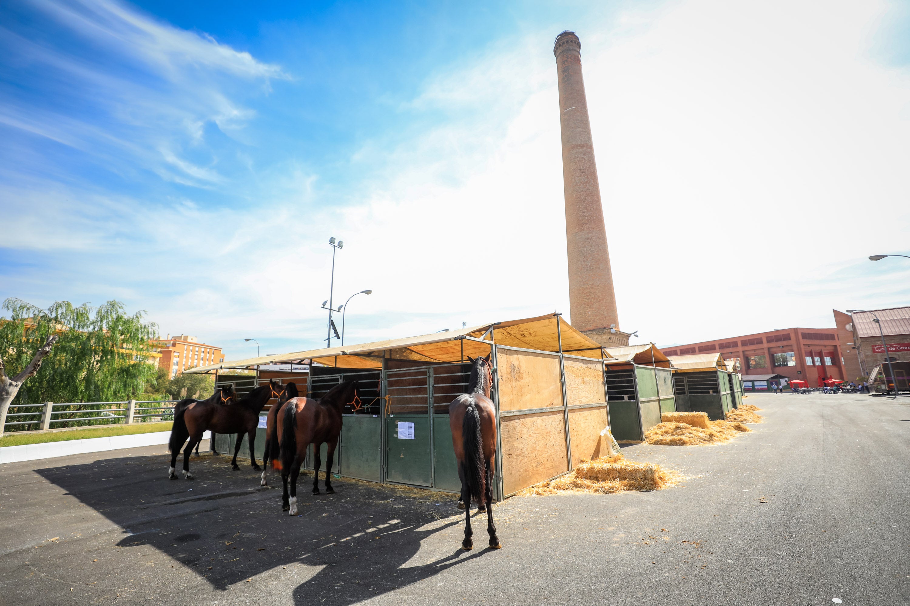 Concab Granada 2019 cumple su vigésima edición consolidada como una de las ferias dedicadas al caballo más importantes de España. Se espera que sean más de 20.000 personas las que visiten la Feria de Muestras de Armilla