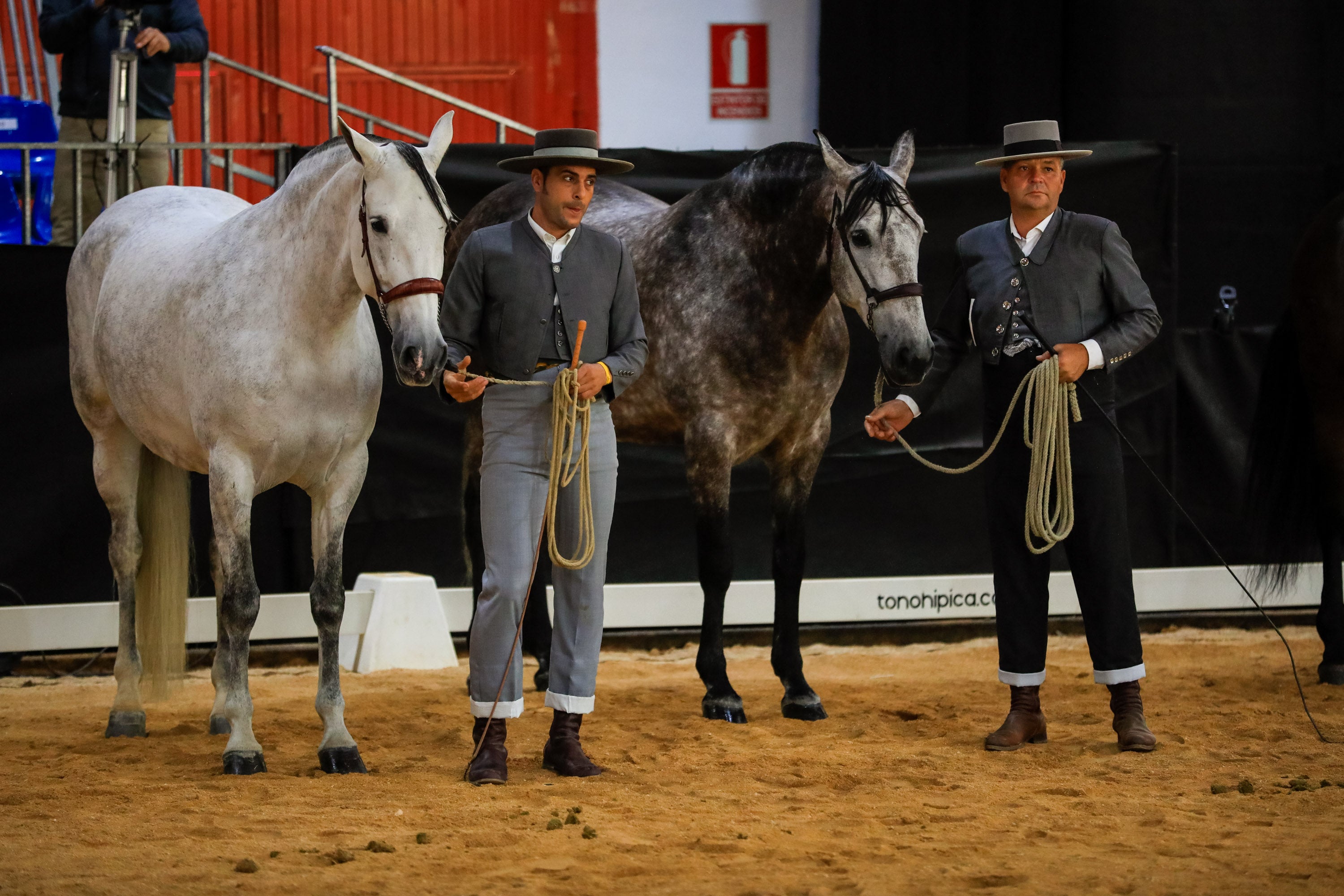 Concab Granada 2019 cumple su vigésima edición consolidada como una de las ferias dedicadas al caballo más importantes de España. Se espera que sean más de 20.000 personas las que visiten la Feria de Muestras de Armilla