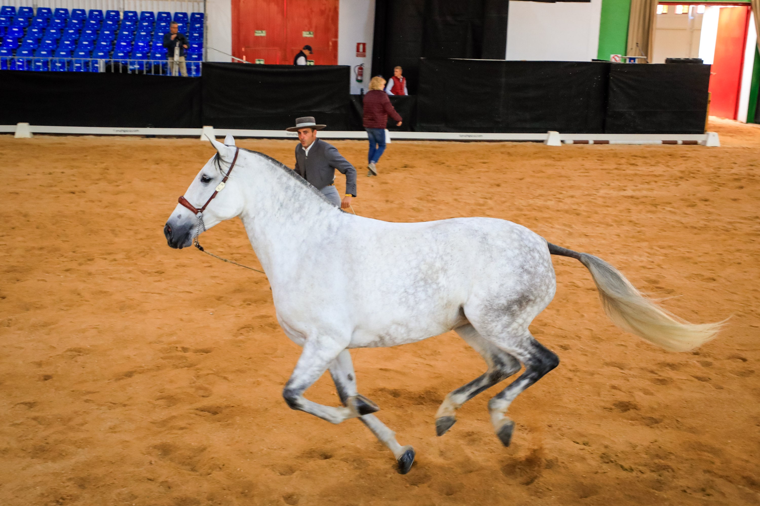 Concab Granada 2019 cumple su vigésima edición consolidada como una de las ferias dedicadas al caballo más importantes de España. Se espera que sean más de 20.000 personas las que visiten la Feria de Muestras de Armilla