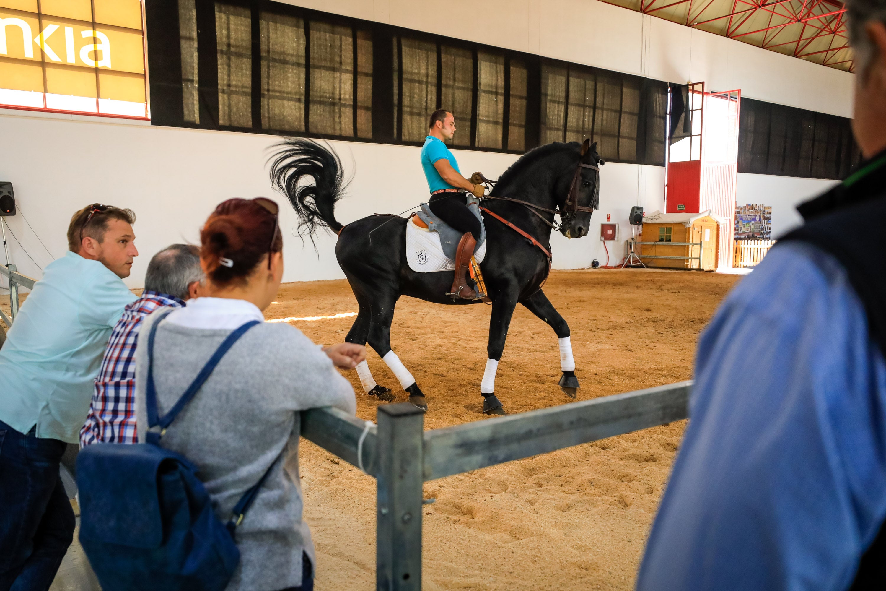 Concab Granada 2019 cumple su vigésima edición consolidada como una de las ferias dedicadas al caballo más importantes de España. Se espera que sean más de 20.000 personas las que visiten la Feria de Muestras de Armilla