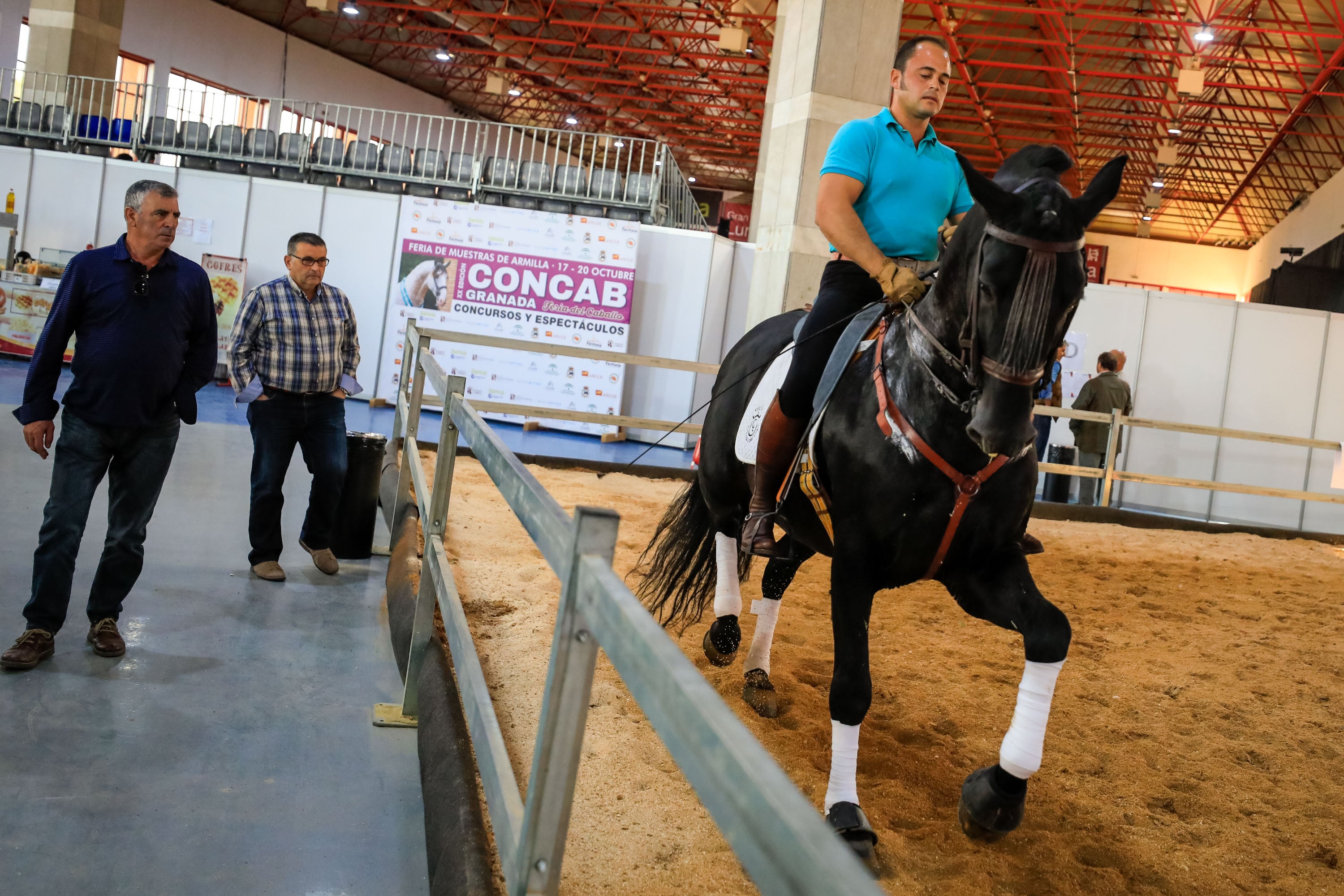 Concab Granada 2019 cumple su vigésima edición consolidada como una de las ferias dedicadas al caballo más importantes de España. Se espera que sean más de 20.000 personas las que visiten la Feria de Muestras de Armilla