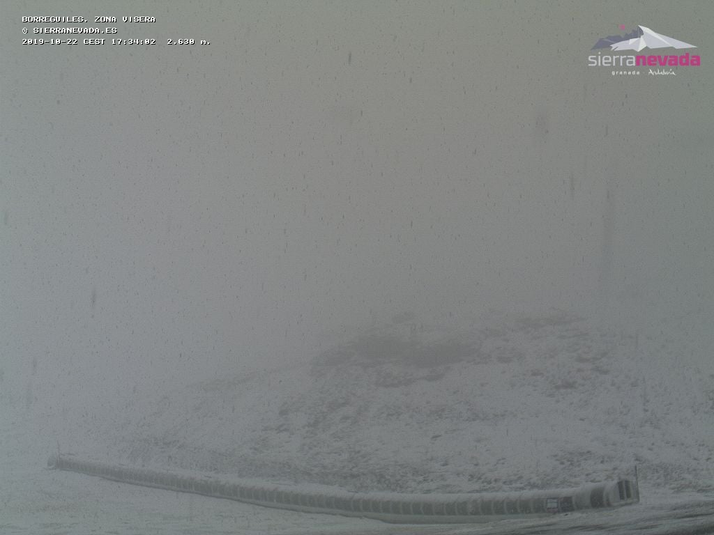 Los copos caen con fuerza en la tarde de este miércoles en Sierra Nevada, incluso en cotas bajas. 