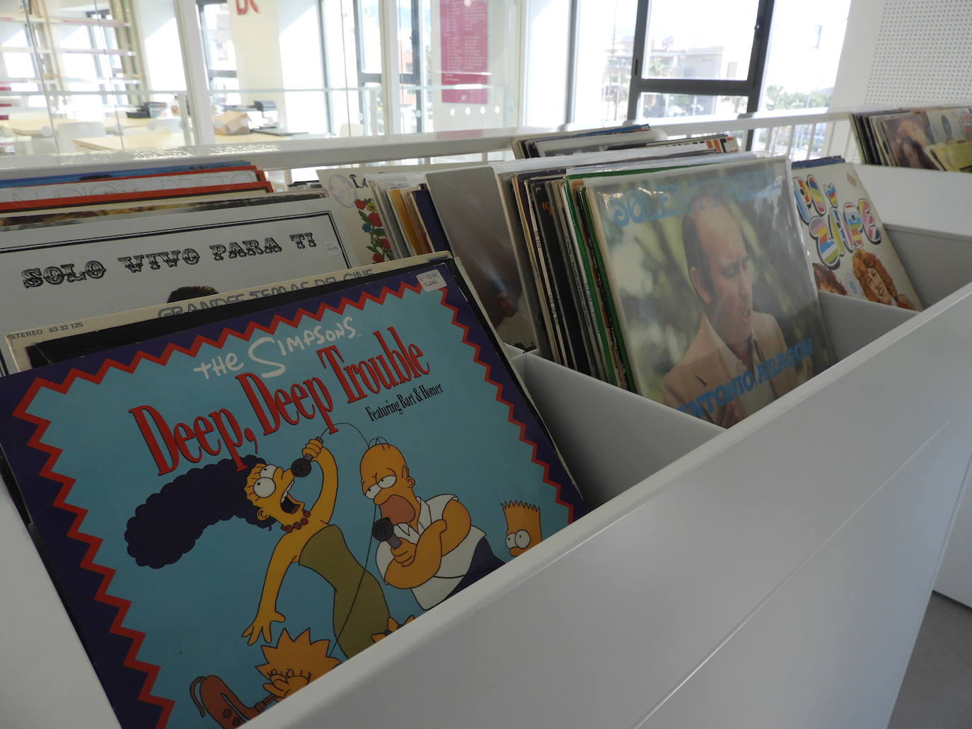 El Ayuntamiento de Almería ha adquirido multitud de material y equipamiento para que cualquier persona con discapacidad pueda utilizarlo 