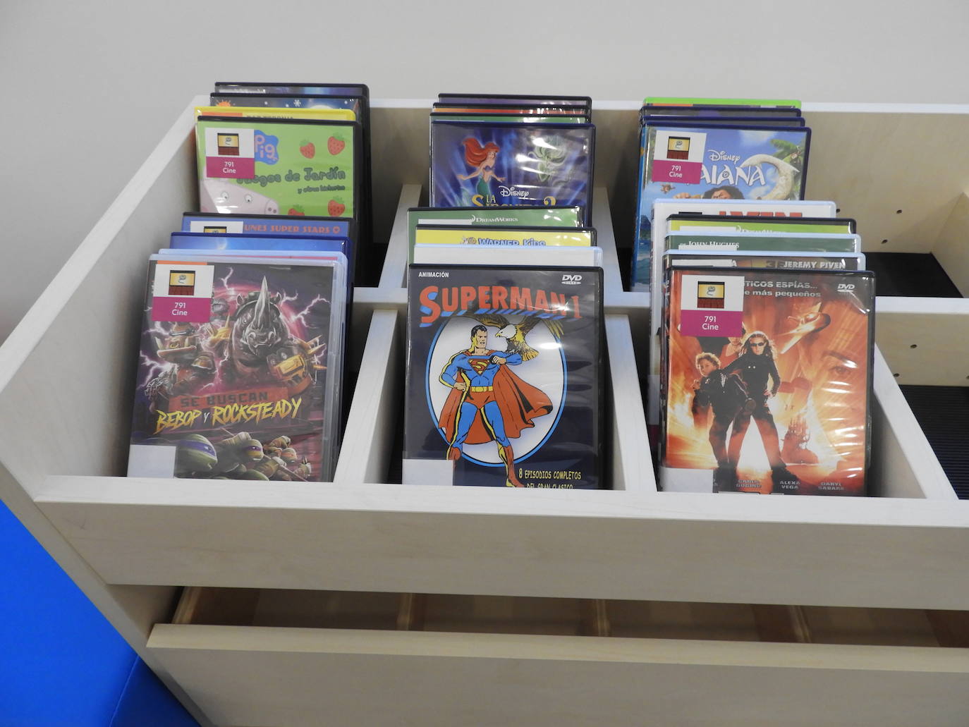 El Ayuntamiento de Almería ha adquirido multitud de material y equipamiento para que cualquier persona con discapacidad pueda utilizarlo 