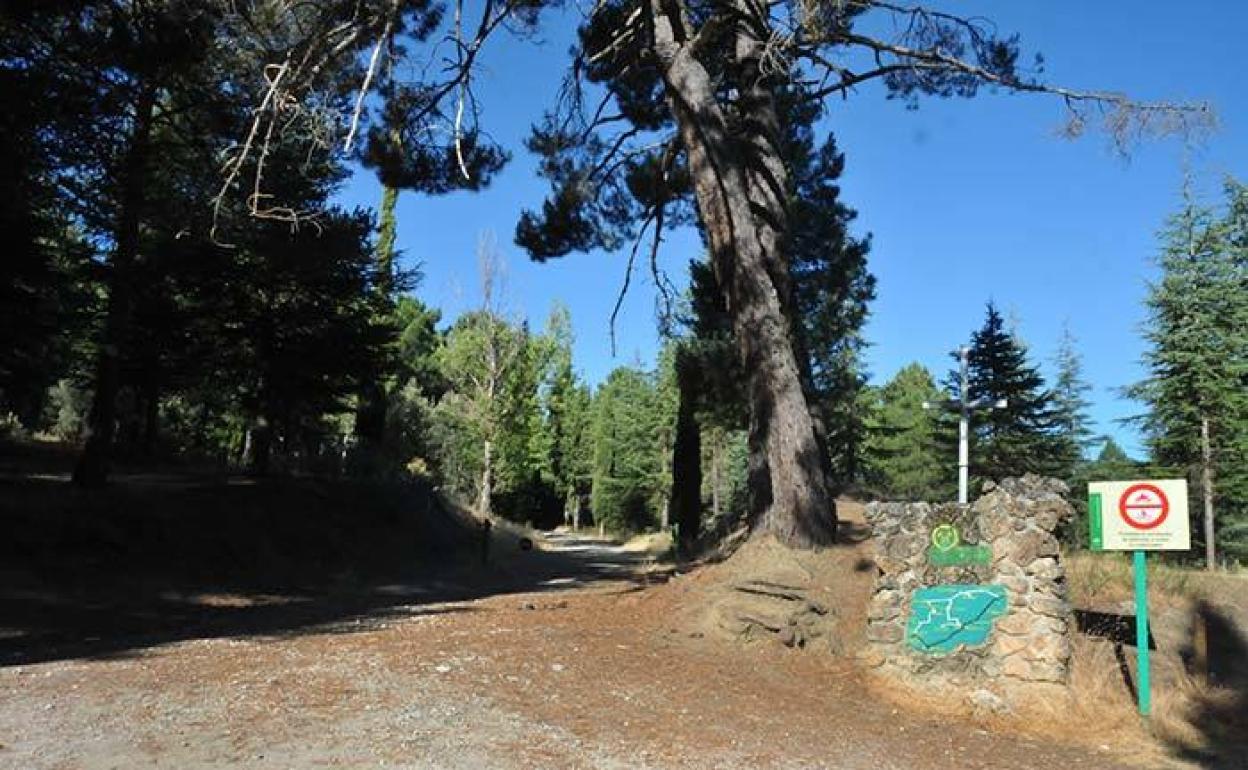 Sendero en la Sierra de Huétor.