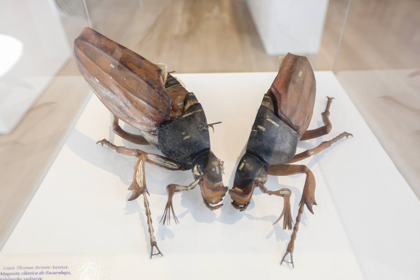 La exposición muestra una pequeña parte de las piezas restauradas desde 2015