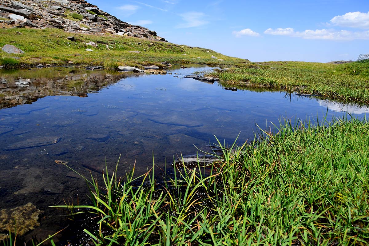 Borreguil alto de San Juan
