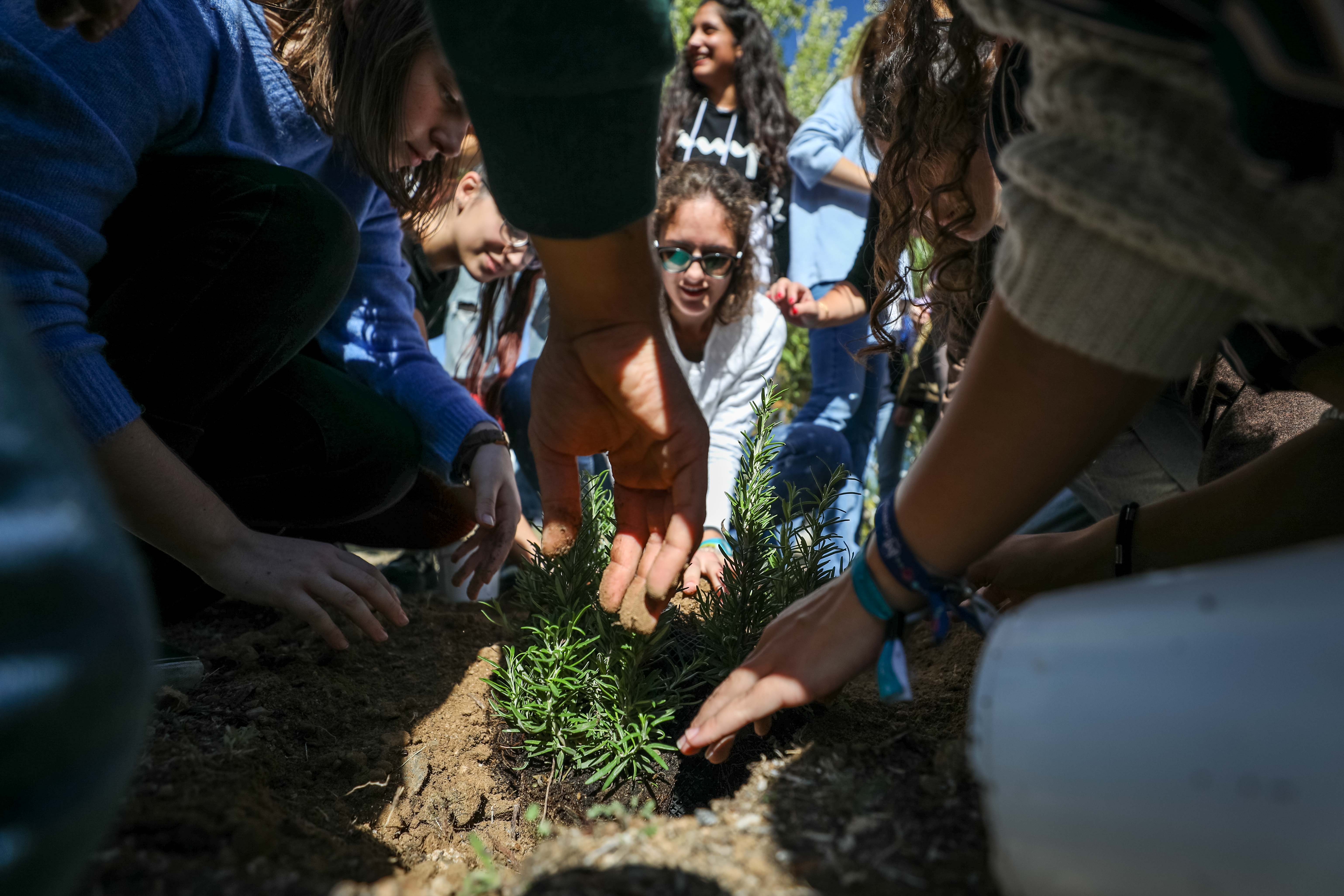 Estudiantes, profesores y resto de profesionales ponen en marcha una campaña de concienciación con el medio ambiente.