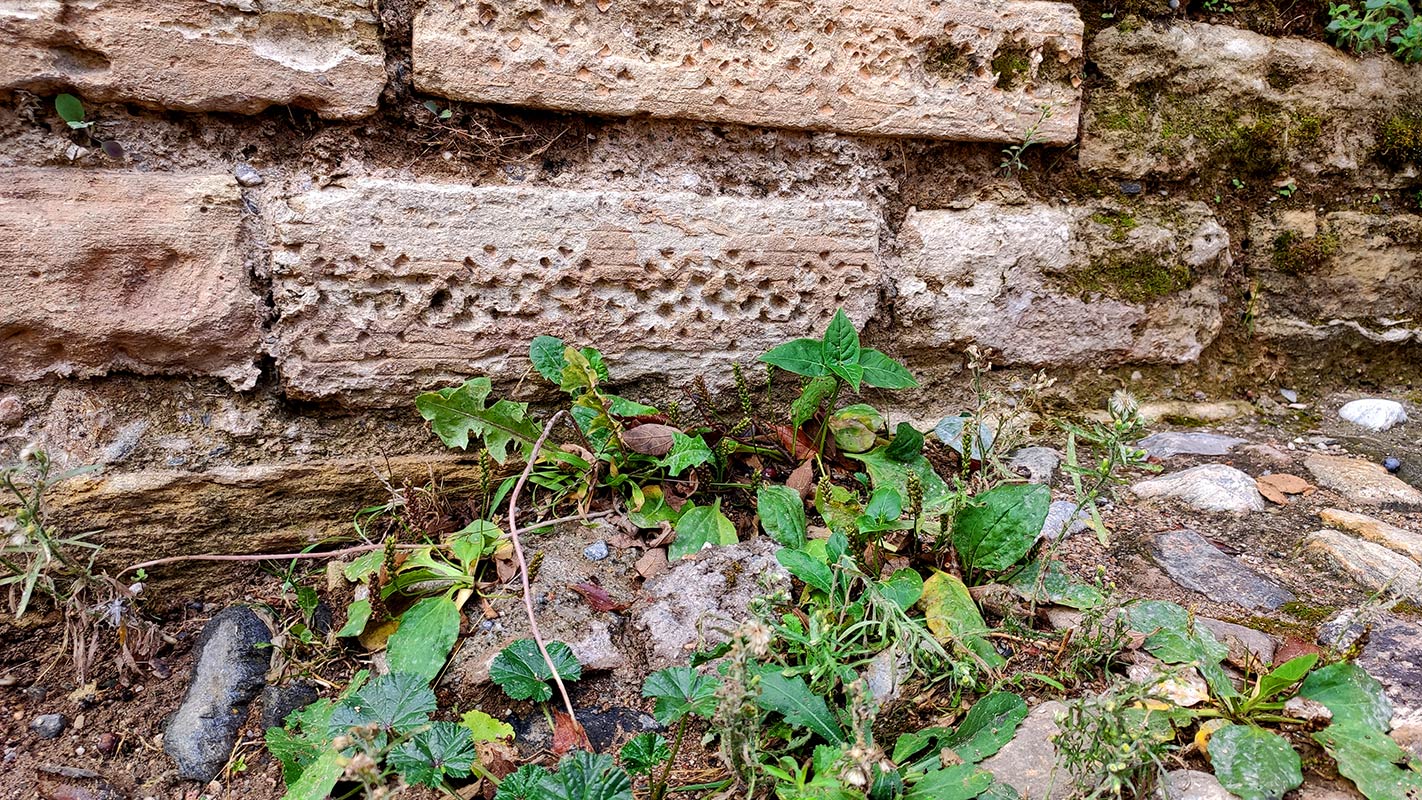 Bordillos funerarios, macabrillas, en la Puerta de la Justicia de la Alhambra 