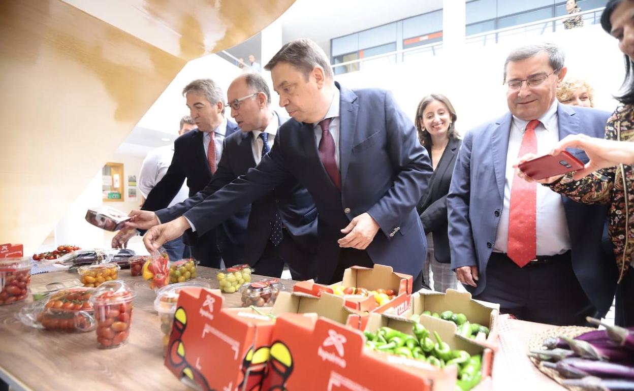 Crisis aceite: Planas espera subida de precios del aceite en las próximas campñas