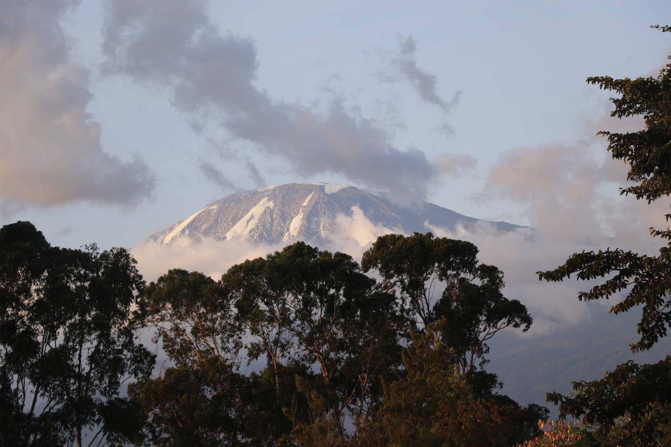 Kilimanjaro