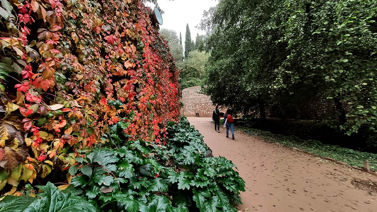 El otoño avanza en la ribera de la Cuesta de los Chinos 