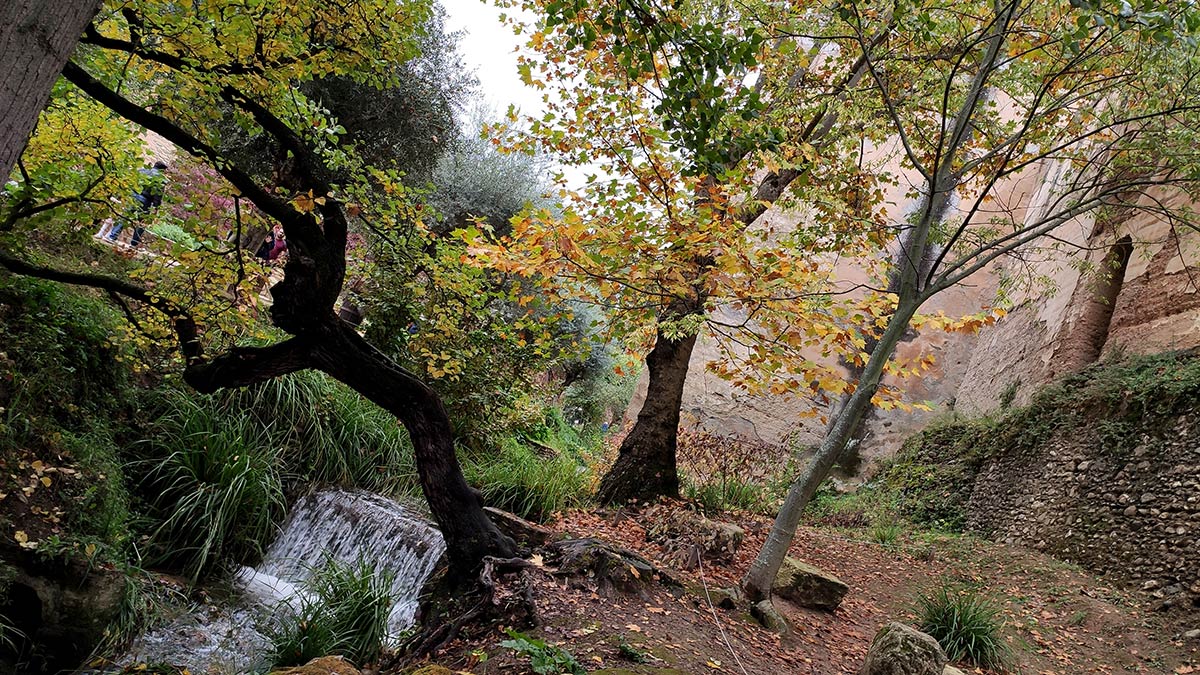 El otoño avanza en la ribera de la Cuesta de los Chinos 