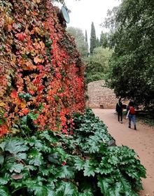 Imagen secundaria 2 - Estanque del Carmen de los Mártires; paseo central del bosque de la Alhambra; parra virgen en la Cuesta de los Chinos 