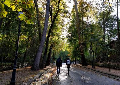 Imagen secundaria 1 - Estanque del Carmen de los Mártires; paseo central del bosque de la Alhambra; parra virgen en la Cuesta de los Chinos 