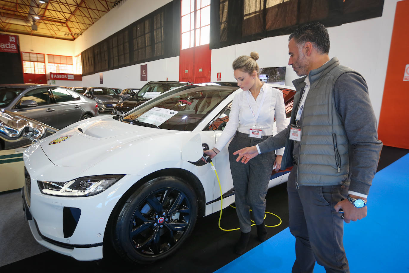 Cientos de coches lucen entre las banderas que ondean anunciando las firmas y los concesionarios oficiales que, saben, es una oportunidad única para adquirir vehículos con grandes descuentos