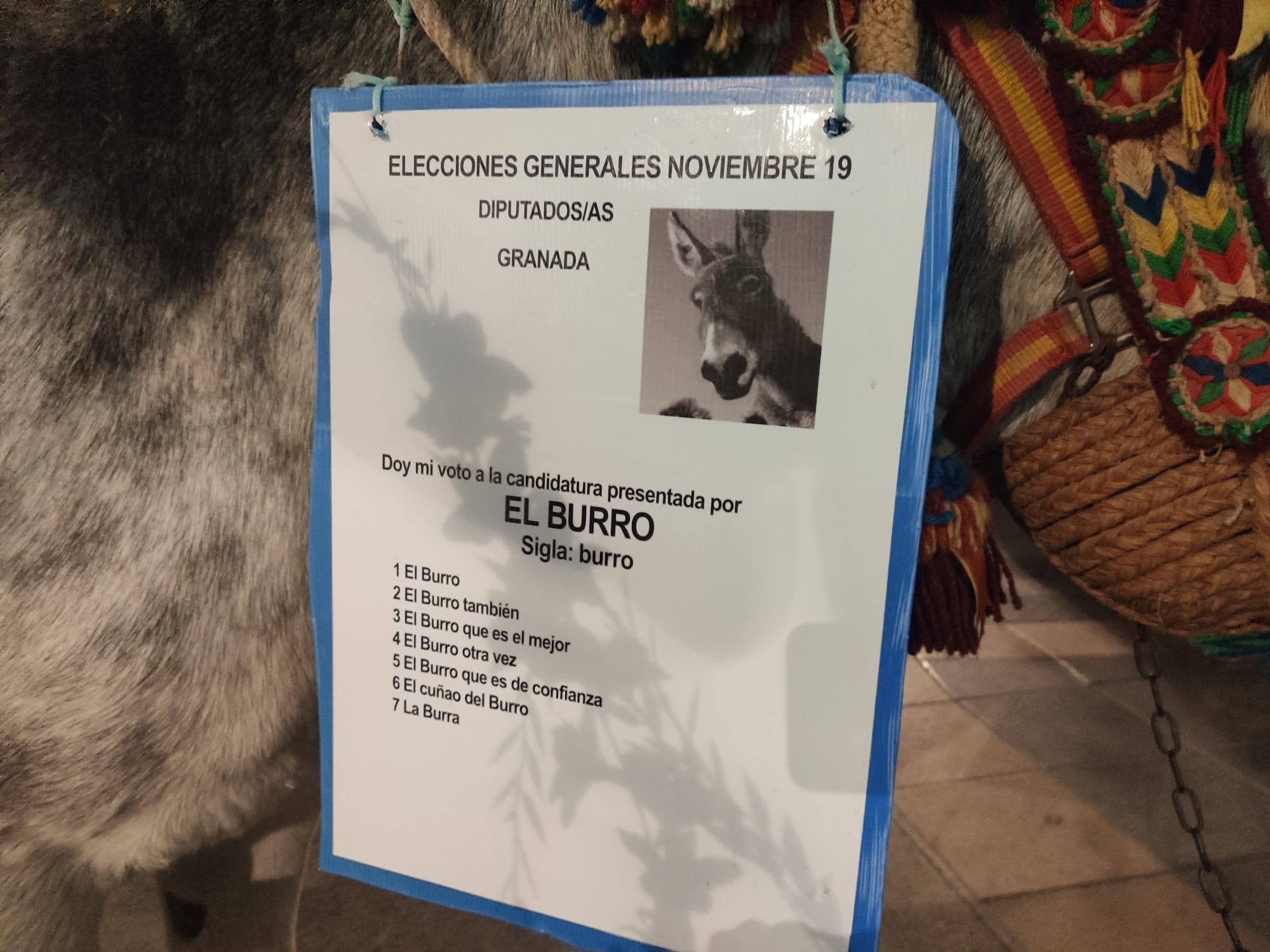 «Vote al burro»: La curiosa acción protesta que ha recorrido Motril antes del 10-N.