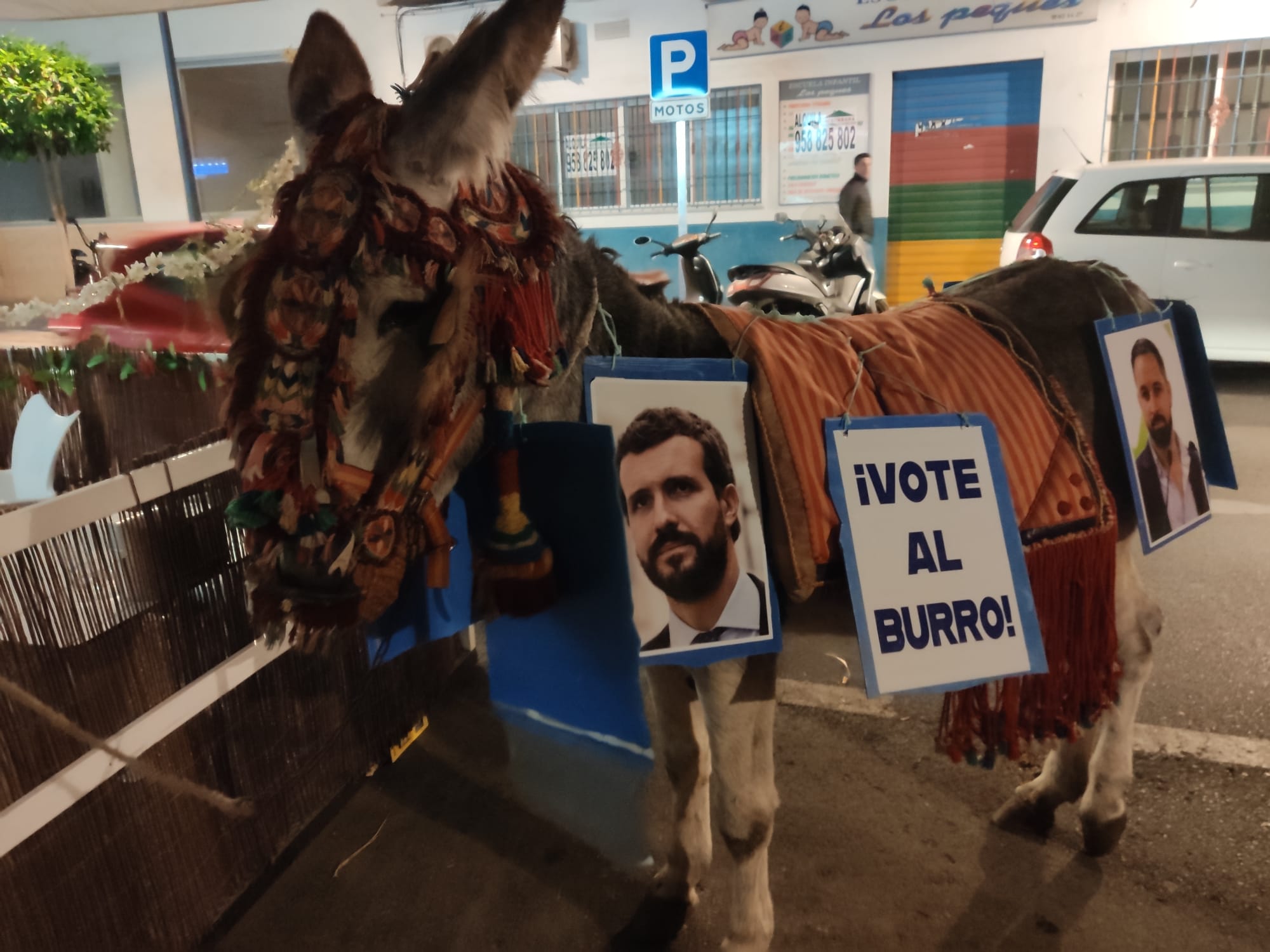«Vote al burro»: La curiosa acción protesta que ha recorrido Motril antes del 10-N.