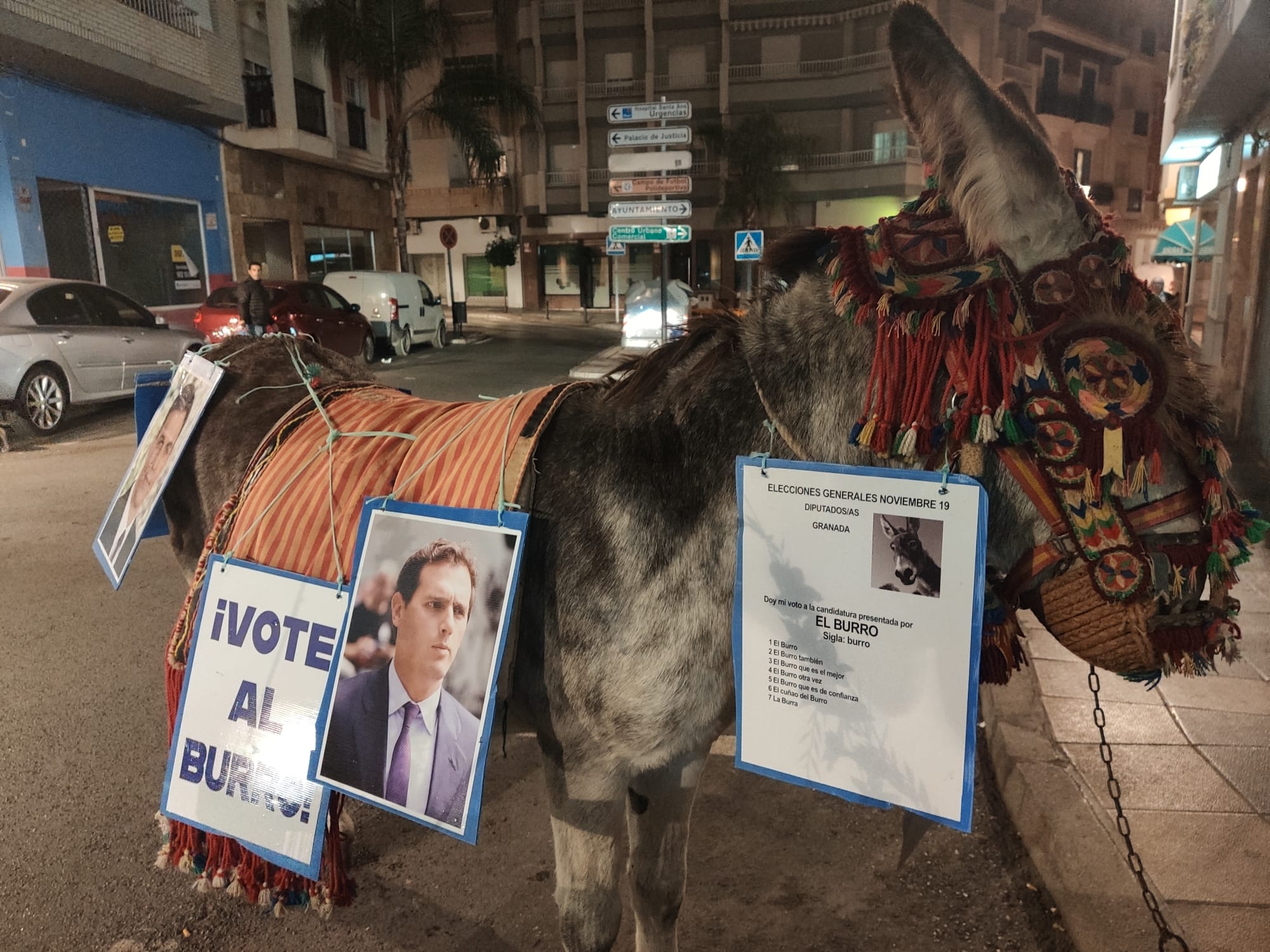 «Vote al burro»: La curiosa acción protesta que ha recorrido Motril antes del 10-N.