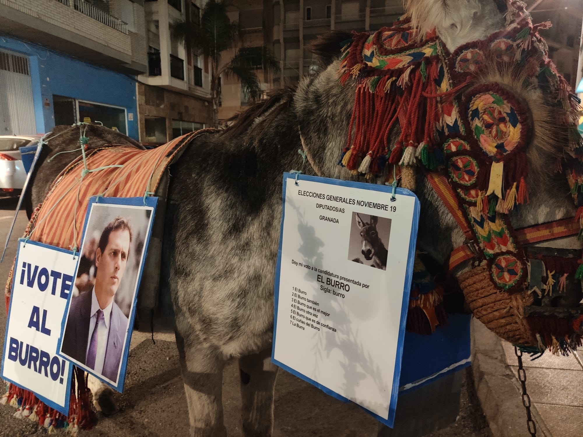 «Vote al burro»: La curiosa acción protesta que ha recorrido Motril antes del 10-N.