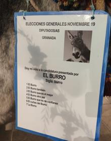 Imagen secundaria 2 - Protesta en burro por las calles de Motril para criticar a los políticos el 10N