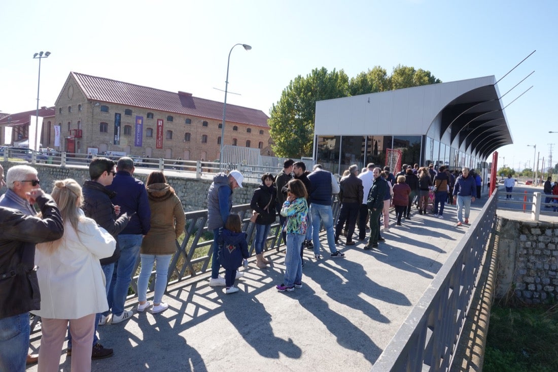 Fotos: Coches para todos los gustos a precios asequibles en la Feria del Motor de Granada