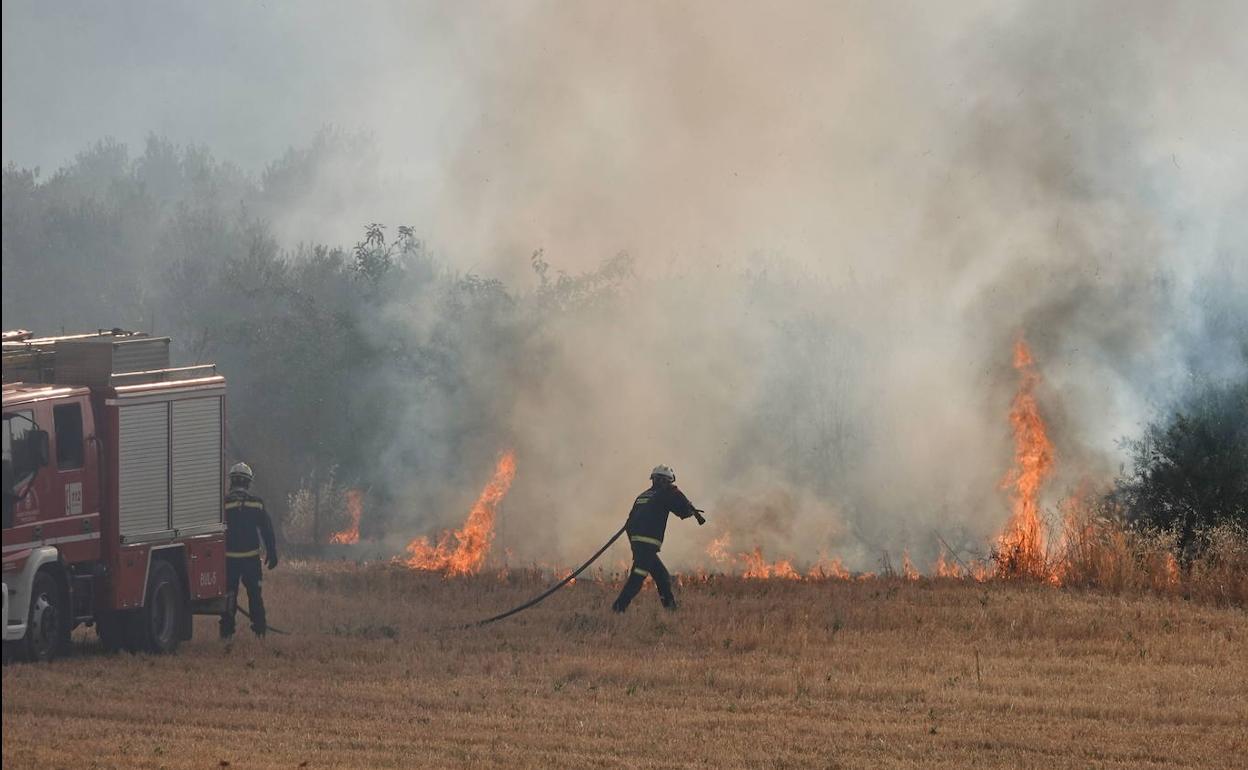 Incendio en Pulianas el pasado mes de junio. 