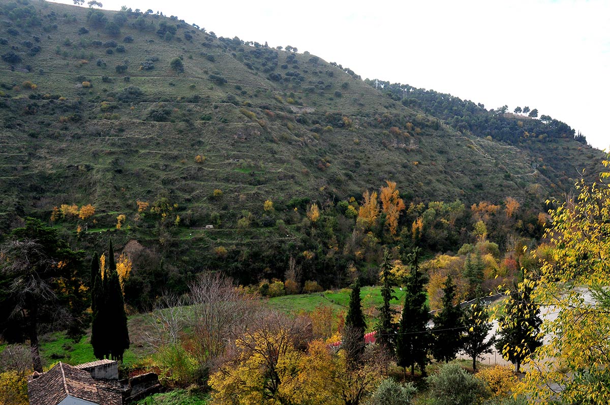 Las colinas del Albaicín, la Sabika y el cerro del Sol se visten con los colores del otoño