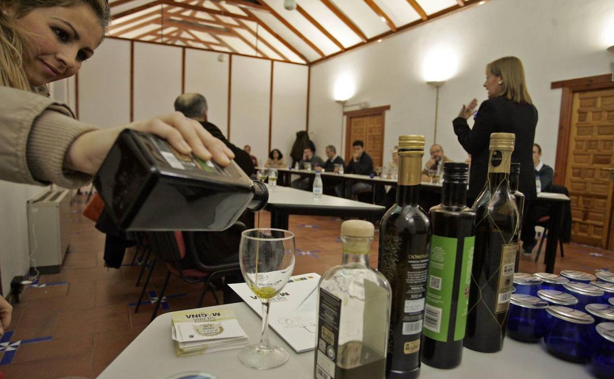 Cata de los primeros aceites producidos en Sierra Magina organizadas por la Denominación de Origen (DO) Sierra Mágina,