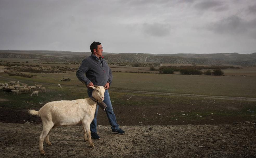 Ángel Martínez posa en uno de los escenarios de la película, con una de las cabras del rodaje.