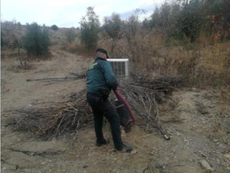 Encontrar una plantación en un zulo en mitad de un barranco de muy difícil acceso es la primera vez que ocurre en la provincia de Granada.