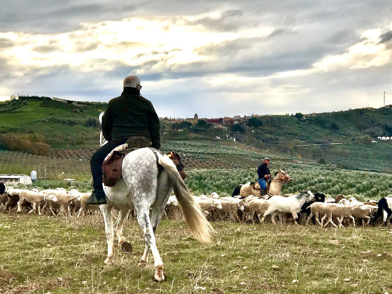 Los jóvenes jienenses escuchan las enseñanzas de los pastores