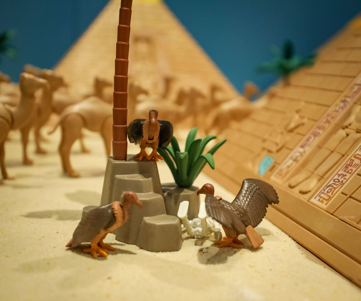 La Cofradía de los Estudiantes ha elaborado uno de los belenes más singulares que se hayan visto en la ciudad con un tamaño de 20 metros de ancho y más de 1.000 figuras