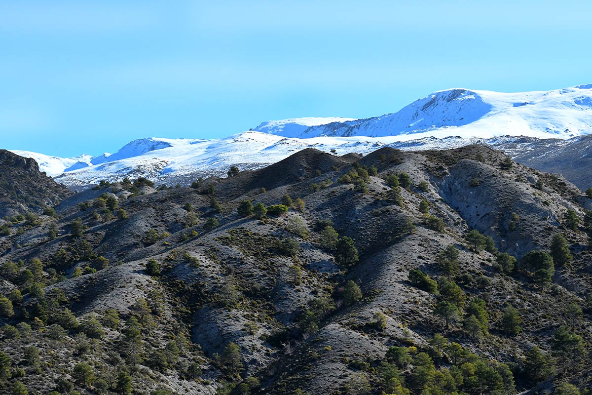 Las altas cumbres de Sierra Nevada 