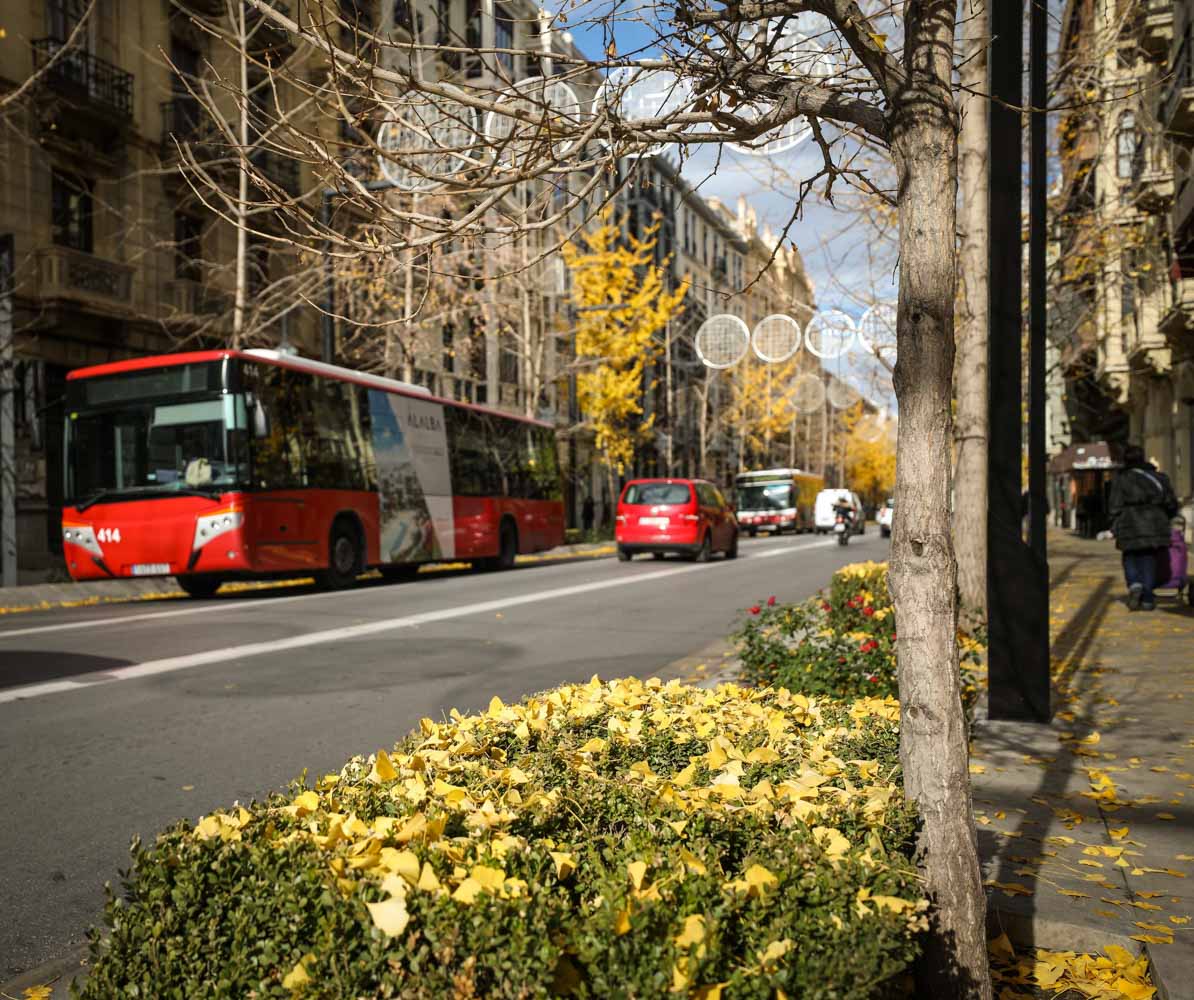 La capital nazarí ofrece paisajes bellos y penetrantes en la estación otoñal | La Alhambra, el centro... todos los rincones ofrecen hermosas estampas