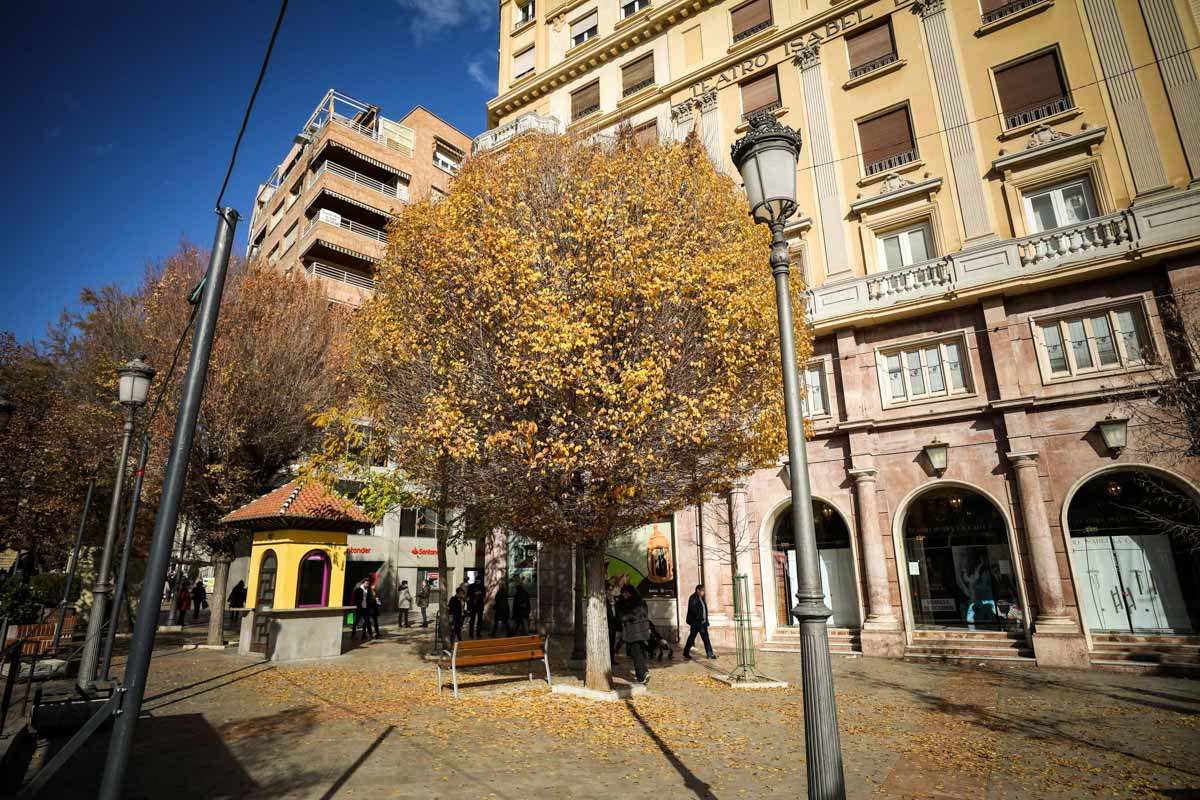 La capital nazarí ofrece paisajes bellos y penetrantes en la estación otoñal | La Alhambra, el centro... todos los rincones ofrecen hermosas estampas