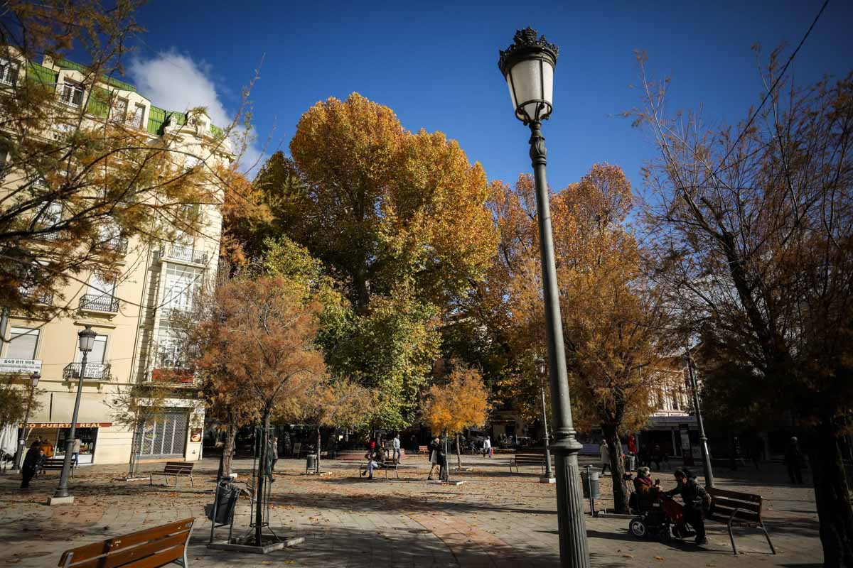 La capital nazarí ofrece paisajes bellos y penetrantes en la estación otoñal | La Alhambra, el centro... todos los rincones ofrecen hermosas estampas
