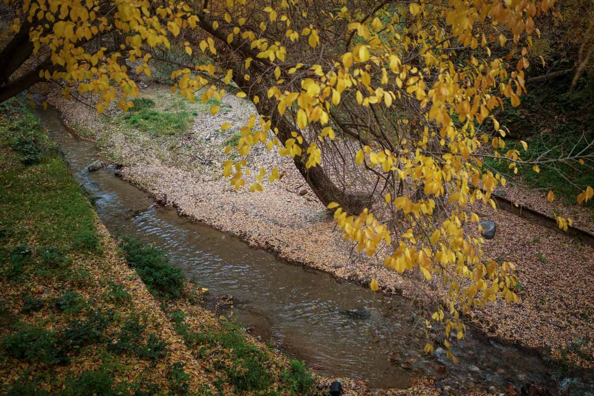 La capital nazarí ofrece paisajes bellos y penetrantes en la estación otoñal | La Alhambra, el centro... todos los rincones ofrecen hermosas estampas