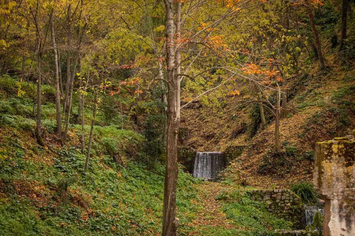 La capital nazarí ofrece paisajes bellos y penetrantes en la estación otoñal | La Alhambra, el centro... todos los rincones ofrecen hermosas estampas