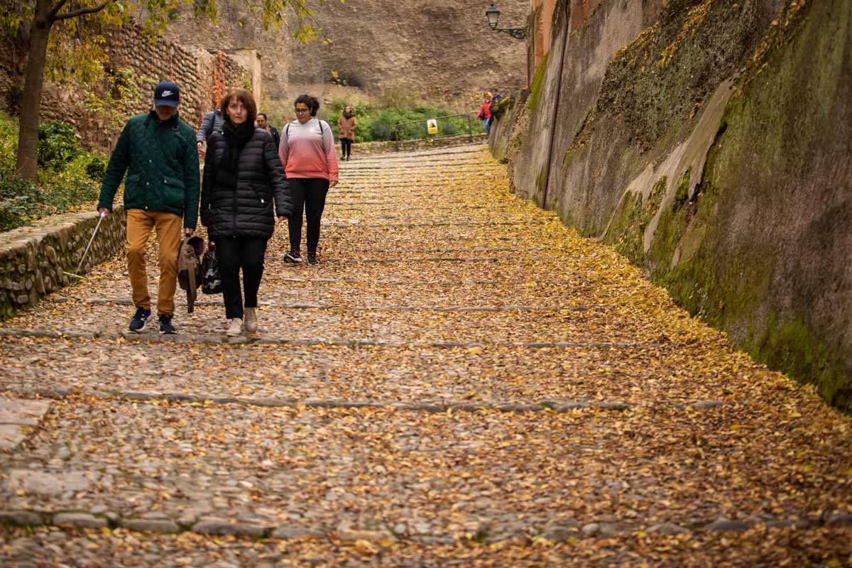 La capital nazarí ofrece paisajes bellos y penetrantes en la estación otoñal | La Alhambra, el centro... todos los rincones ofrecen hermosas estampas