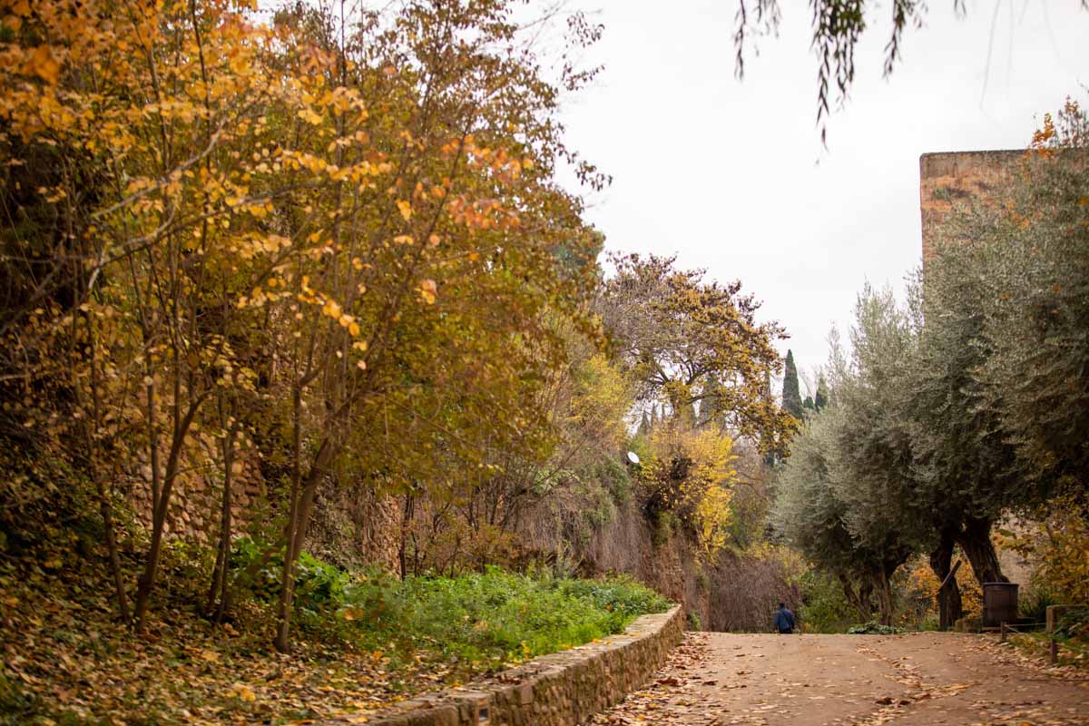 La capital nazarí ofrece paisajes bellos y penetrantes en la estación otoñal | La Alhambra, el centro... todos los rincones ofrecen hermosas estampas
