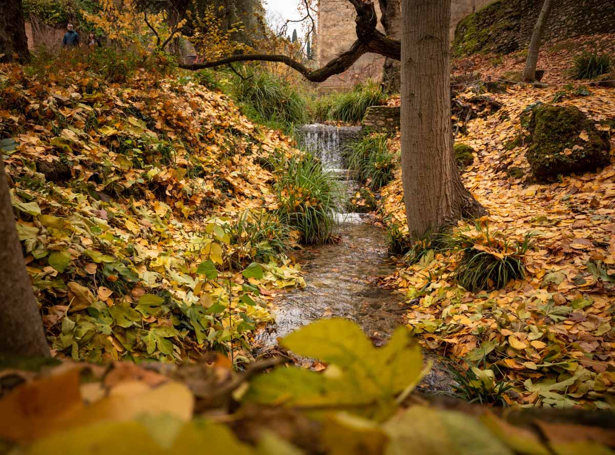La capital nazarí ofrece paisajes bellos y penetrantes en la estación otoñal | La Alhambra, el centro... todos los rincones ofrecen hermosas estampas